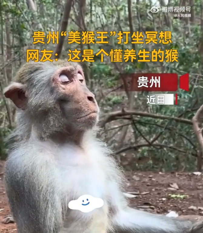 2aee2864d5585b2f5ff1280e83c13d2c.png