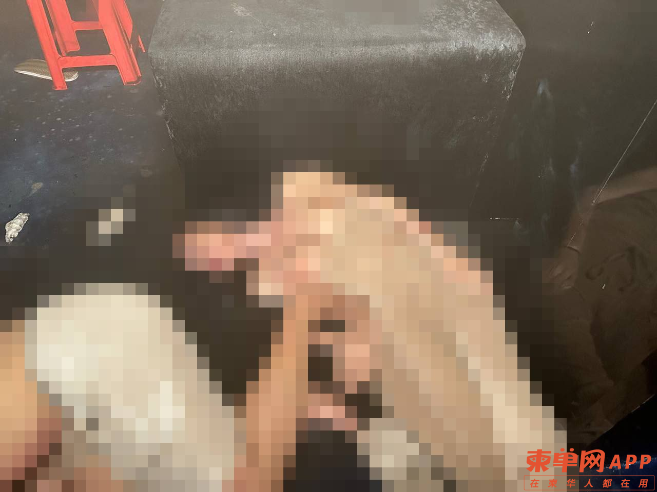 微信图片_20230702133611.png