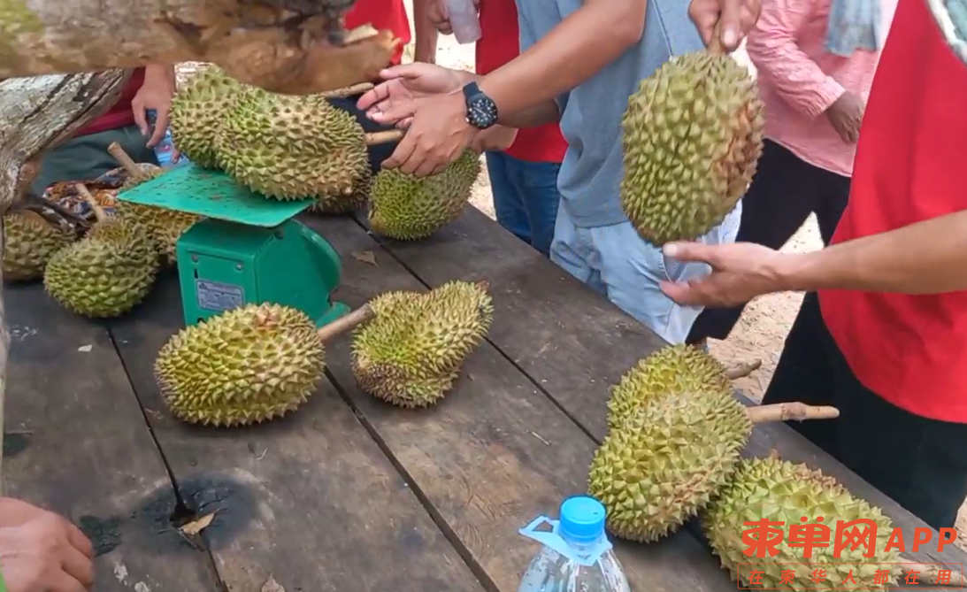 ទុរេន១.png