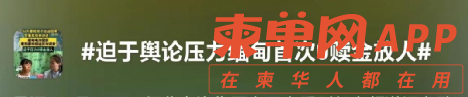 qw9.jpg