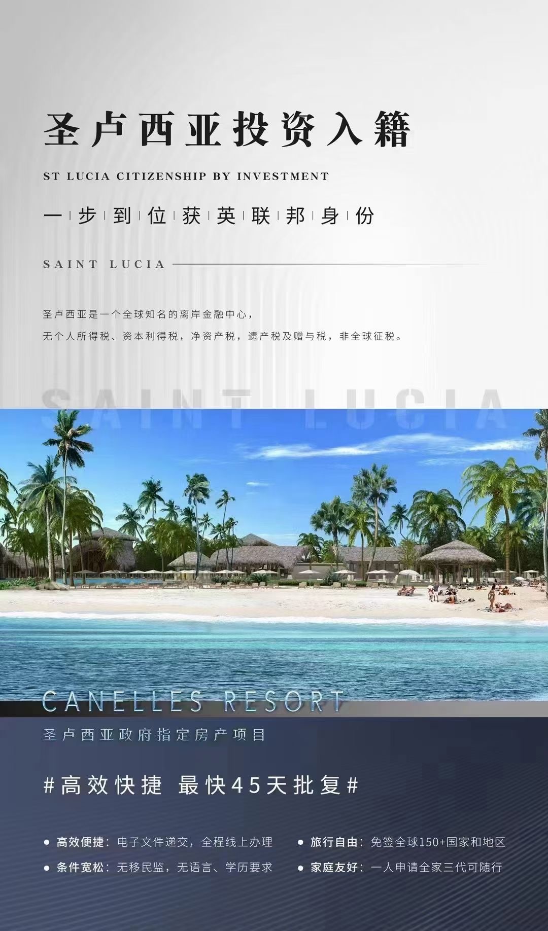 bb393cd7d78996fc1f74c5a3a63e219.jpg