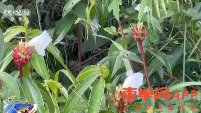Image_20230814094041.png