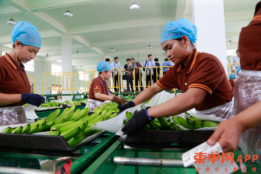 exports-climb-of-cambodian-goods.jpg
