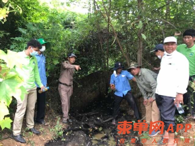 202452qulgu1z3ibccnypp.jpg.thumb.jpg
