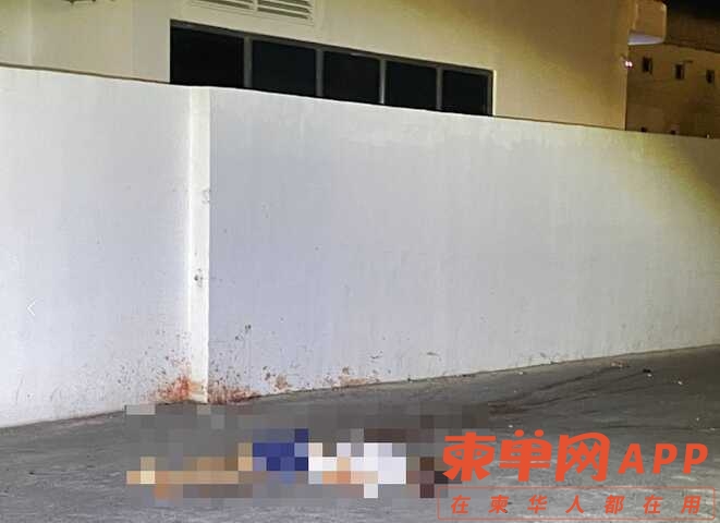 103644pynyyxu18y11a78e.png.thumb.jpg