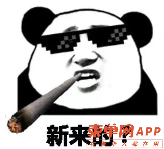 23.webp.jpg