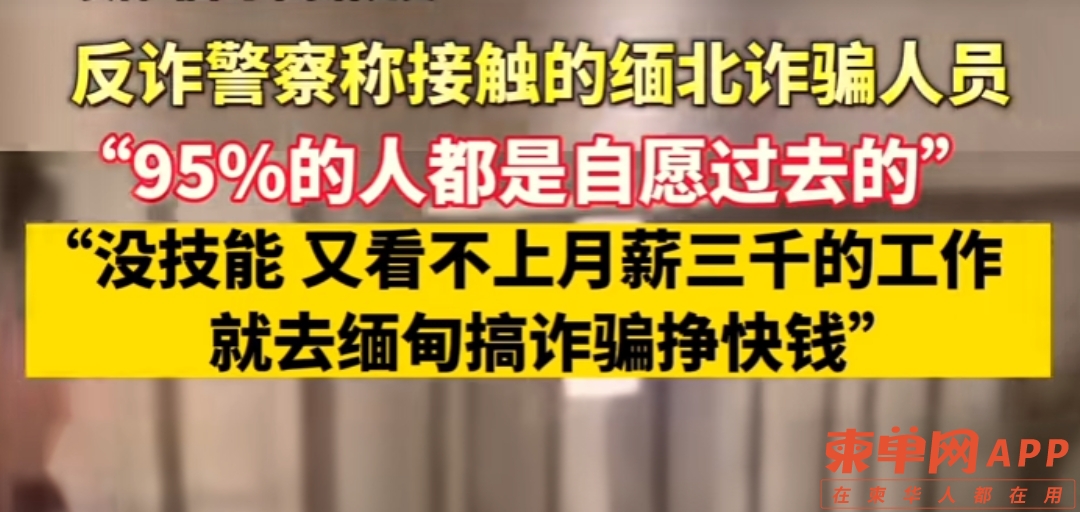 95%自愿.jpg