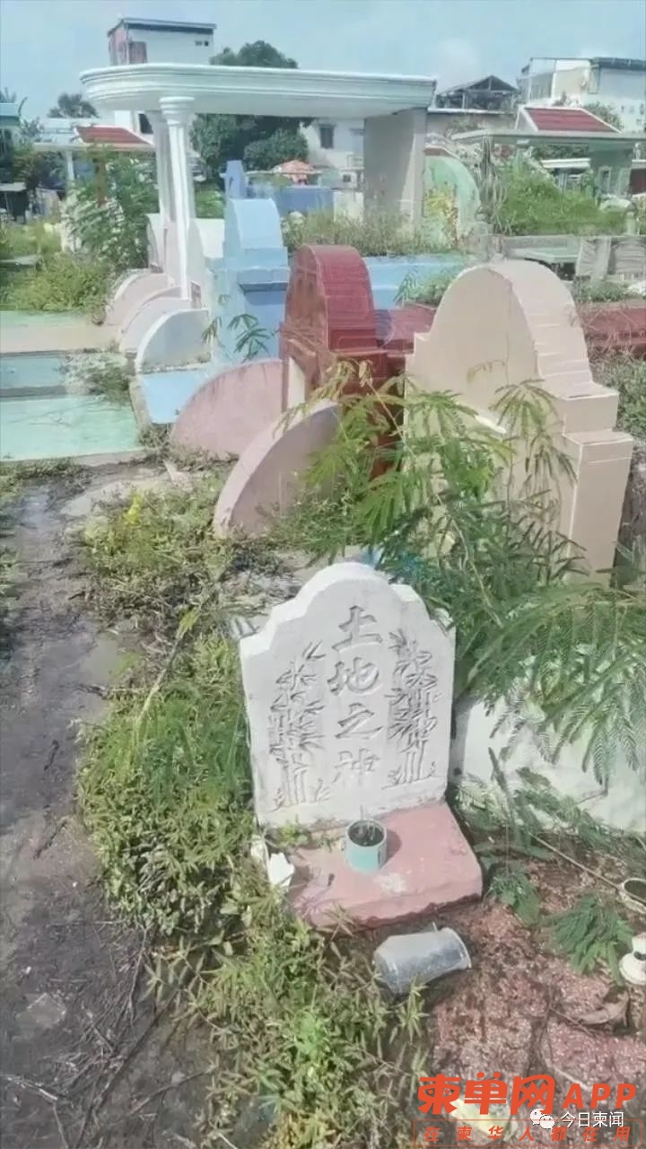 qw6.jpg