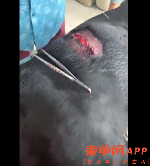 微信截图_20230919225409.png