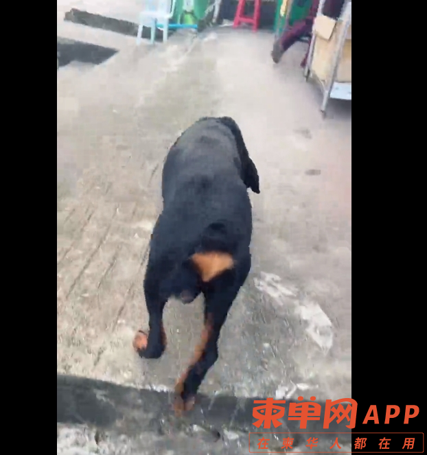 微信截图_20230919225312.png