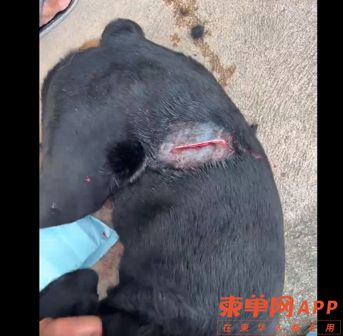微信截图_20230919225334.png