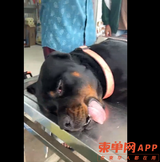 微信截图_20230919225354.png