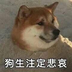 654d70738e9f09634200f721_1024.jpg