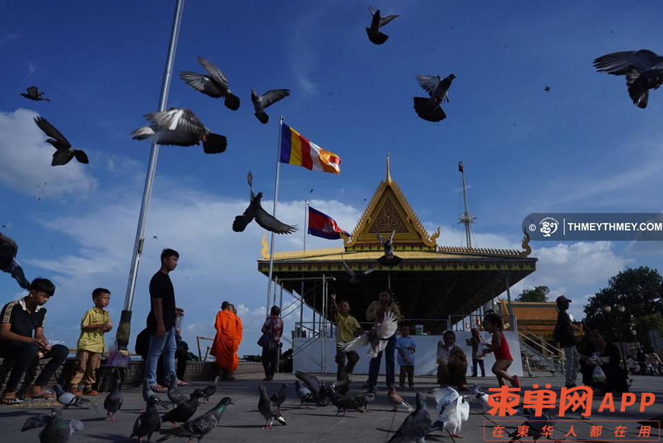 图片_20231112100628.png