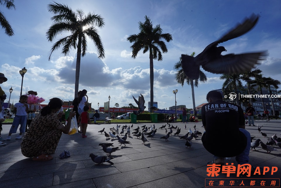 图片_20231112100639.png