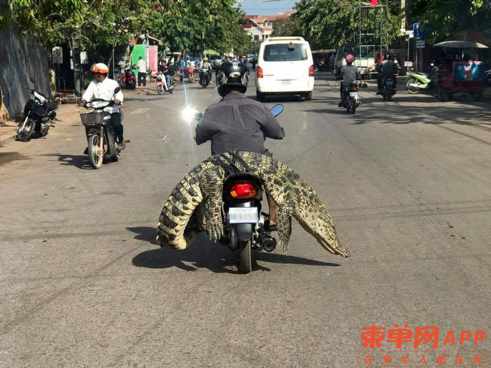 微信图片_20240117141612.jpg
