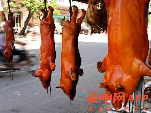 微信图片_20240128160007.png