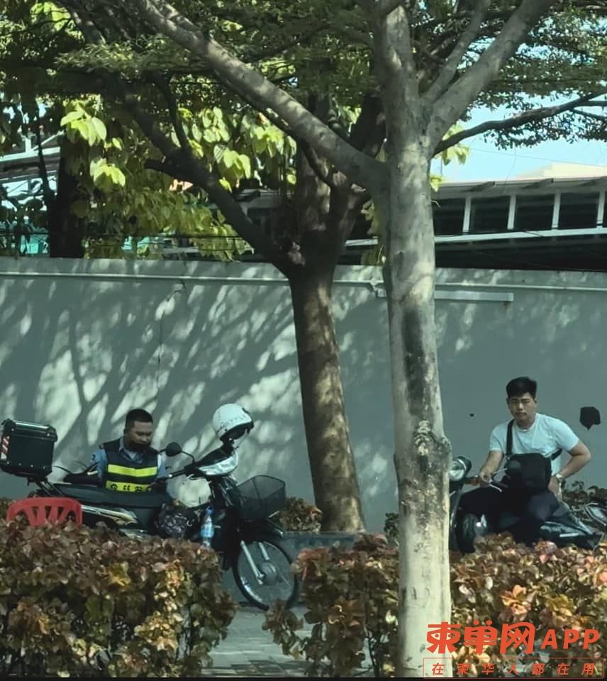 425698149_1357540958354018_761374364187115443_n.jpeg