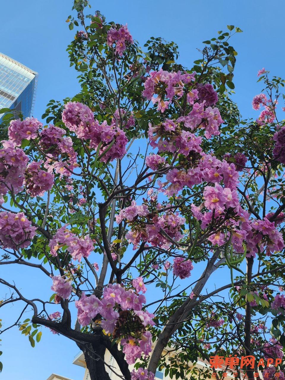 20240218005141front2_0_183514_Fn0nn0m5N6ggwwQzPGSncCZIowPk.jpg