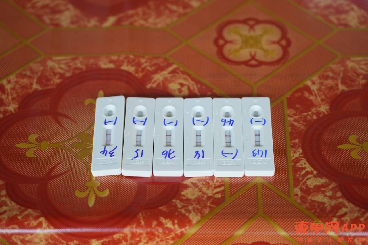 428645027_379130571586117_3268577087584705822_n.jpeg
