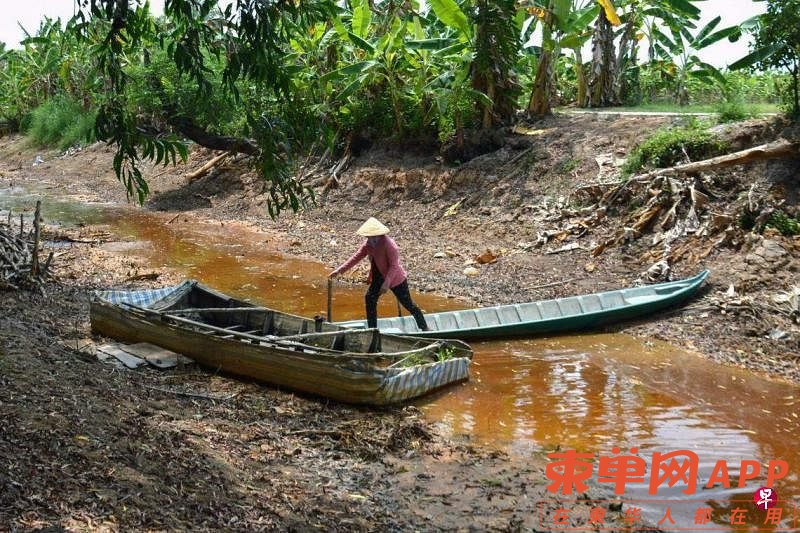 柬开凿运河，越南专家忧影响湄公河三角洲生态