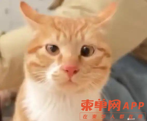 20240927231239front1_0_781612_FshKJHT9xBOd6DrFNi-PCGTUxuKo.jpg