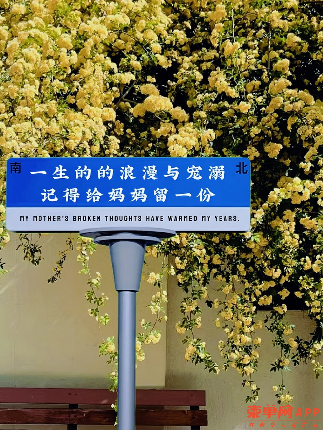 本周日母亲节，你打算怎么过？  有没有为妈妈准备礼物？