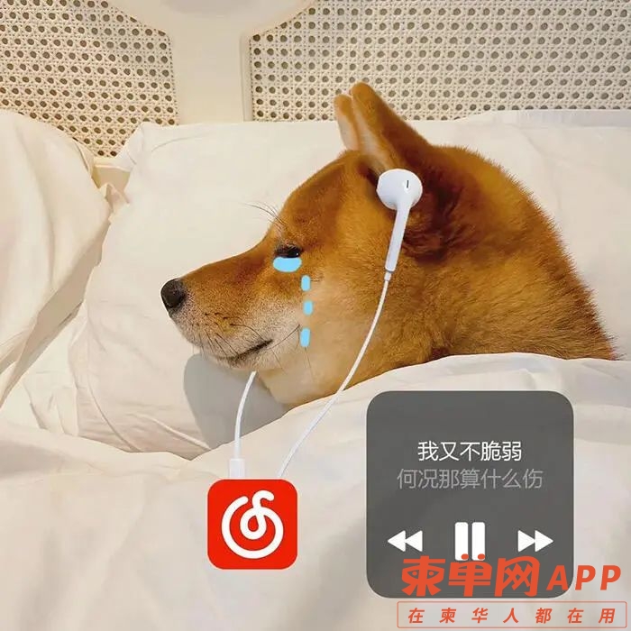 你在柬埔寨的“下班生活”，最舍得把时间花在什么上？