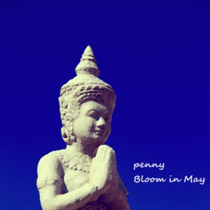 Bloom in May 柬埔寨的时光