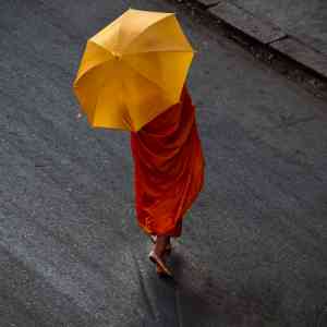 “僧侣打伞，无法无天”？柬埔寨可不是这样 ...