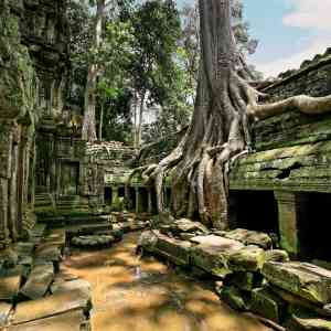 柬埔寨成东南亚旅游新宠
