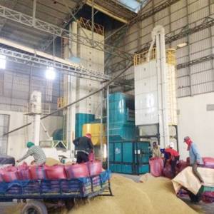 柬埔寨乡村发展银行再次发布通告 呼吁企业积极报名竞标稻谷仓库和烘干设施项目 ... ...