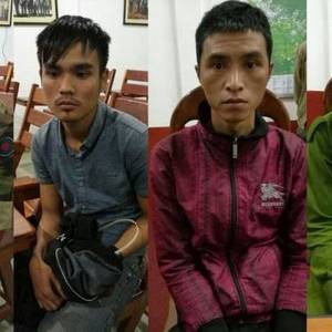 4越男越境砍树