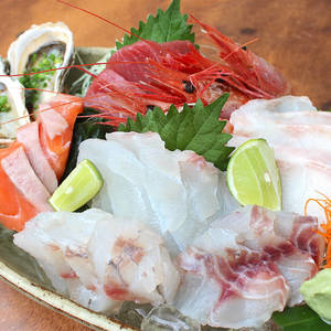 SakanaLab -你绝不能错过的日式海鲜料理店