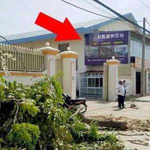 中籍老板因砍了门前两棵树被捕