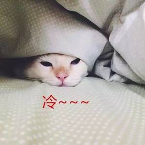 低至14℃！明日柬埔寨要大降温
