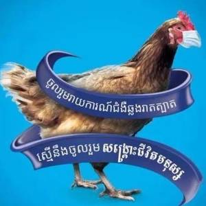 卫生部完成新金边禽流感感染区消毒工作