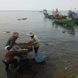 2017年柬出口1.3万吨鱼类产品