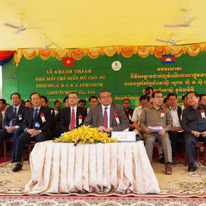 柬橡胶业迅速发展 位居世界天然橡胶生产国第十六