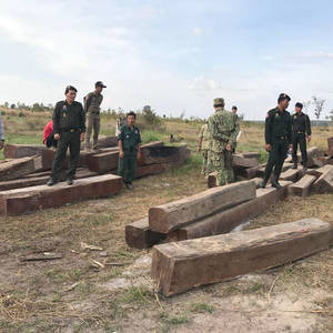 拉省展开行动起获大批优质方木