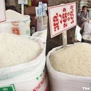 首月柬大米出口逾6万吨！中国仍居榜首