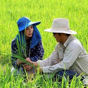 “一带一路”助力中国农业“走进”柬埔寨