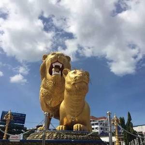 中国人在西港屡引争议？西港局长：不能只针对中国人！