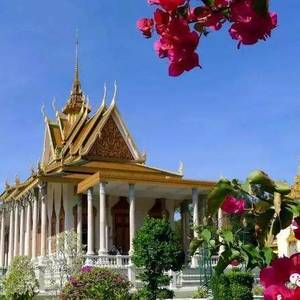 柬埔寨华人现状：多是富豪，在柬地位很高？
