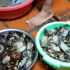 过年去柬埔寨旅游，2大盆螃蟹花了55元，太实惠了！