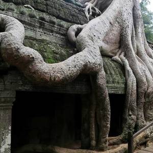 神秘柬埔寨，寺庙与古树纠缠的塔布伦寺！