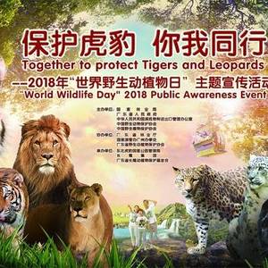 “世界野生动植物日”： 中国倡议加强虎豹保护
