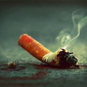 柬一年烟草消费量多达2亿美元