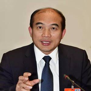 洪杰：中国民族涂料进军海外市场充满机遇