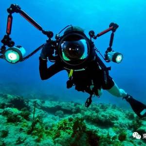 在柬潜水如何装X成大师，摆脱小学生式的浮潜！